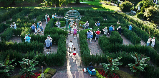 Dancing in the maze